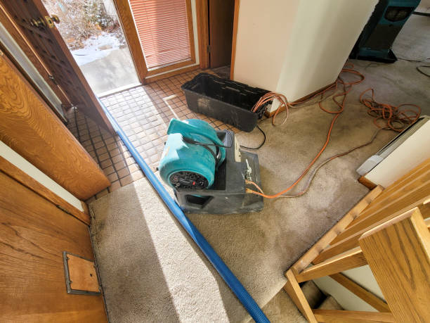 Best Residential water damage restoration  in East Canton, OH