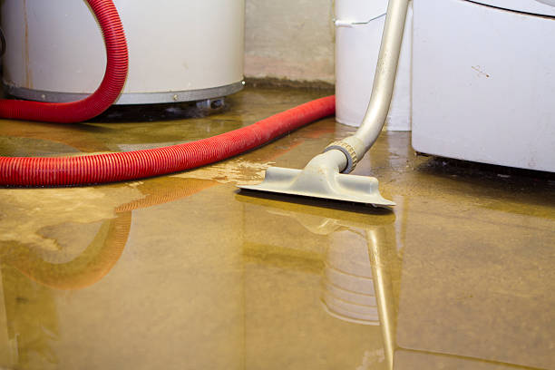 Best Ceiling water damage repair  in East Canton, OH